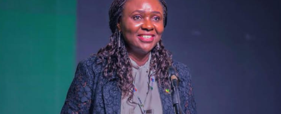 NUPRC sets Friday deadline for 2025 licensing round applications